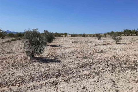 Ruinere i Yecla, Murcia, Yecla - € 19.000 | Ref: SF0406 - foto 6
